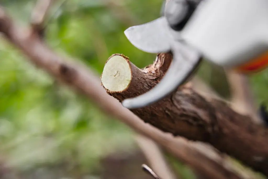 STIHL-VA05-011-6211.webp