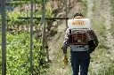 STIHL-4203-011-2620.webp
